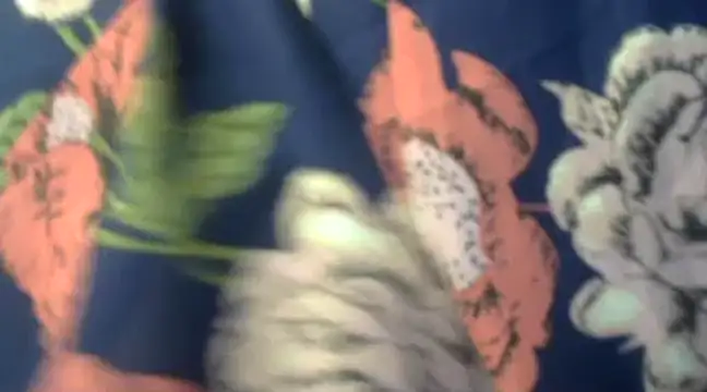 Naughty Nayra online show from 02/03/25, 03:31