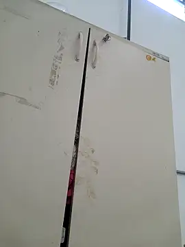 Snapshot of tesaodaweb chatting on 02/17/26, 10:45 tesaodaweb online show from 02/17/26, 10:45