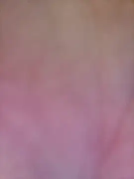 Snapshot of AnnalSV91 chatting on 10/09/25, 08:09 AnnalSV91 online show from 10/09/25, 08:09