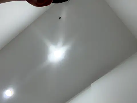 Sexocokin online show from 12/16/25, 01:15