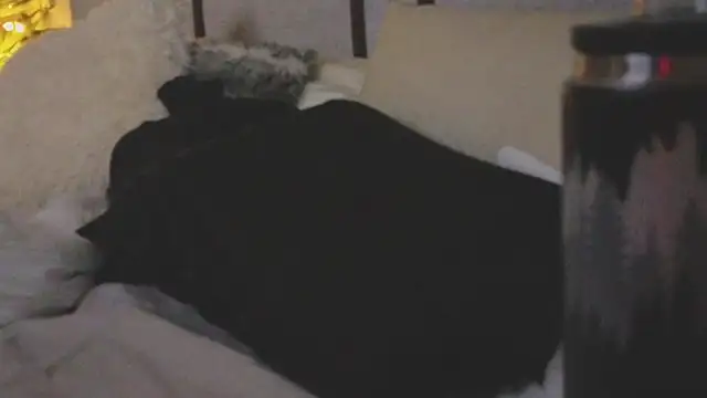 ivynyxx online show from 03/16/26, 09:39