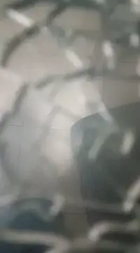 cachondosur13 online show from 02/17/25, 08:19