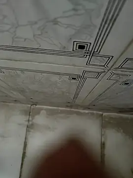 dreamers dick online show from 01/04/25, 08:06