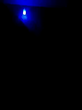 dreamers dick online show from 01/02/25, 07:18