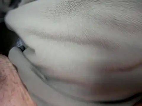 Archie8338 online show from 01/14/26, 04:21