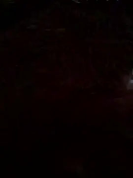 gamdschie49 online show from 03/13/26, 04:56