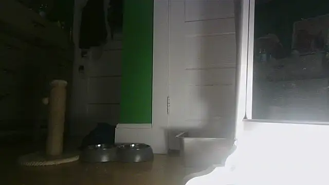 SadCatDaddy online show from 06/03/26, 09:10