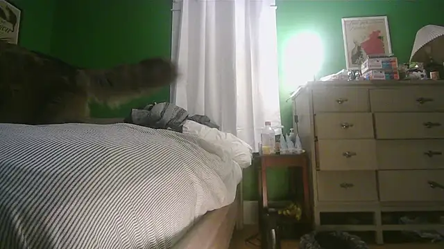 SadCatDaddy online show from 02/15/26, 11:31