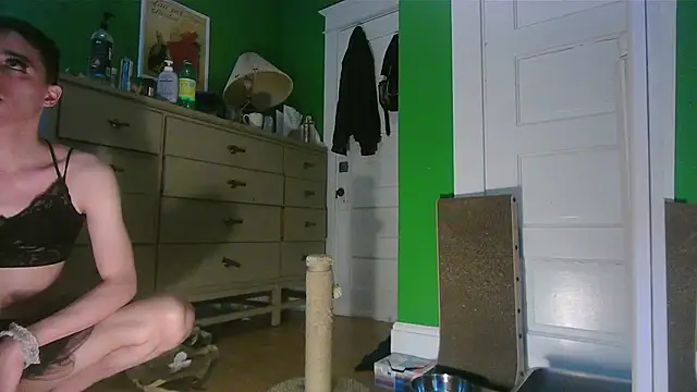 SadCatDaddy online show from 05/13/26, 09:33