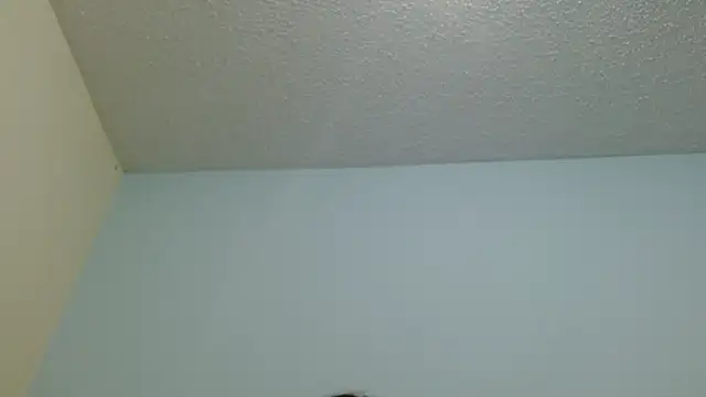 boobsTaylor online show from 02/12/26, 07:19