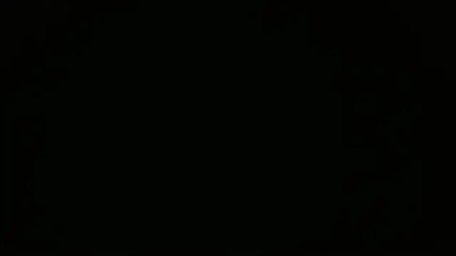 maison sofia1 online show from 03/28/26, 06:58