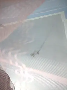 124pakhi online show from 01/12/26, 03:19