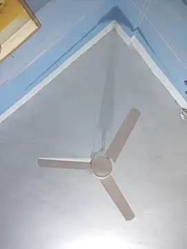 124pakhi online show from 03/14/26, 01:11