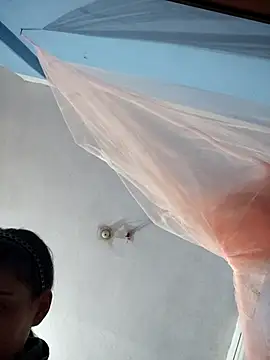 124pakhi online show from 11/30/25, 05:19