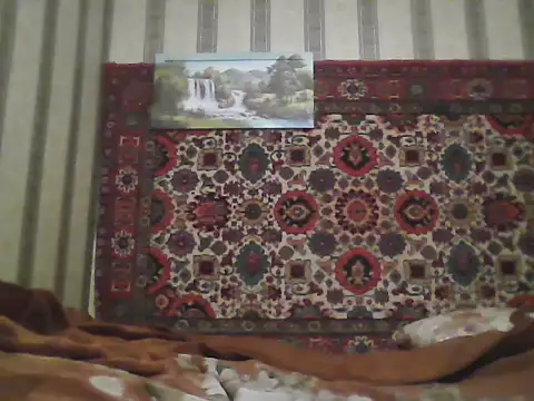 AlferezzSolvajo online show from 12/02/25, 06:09