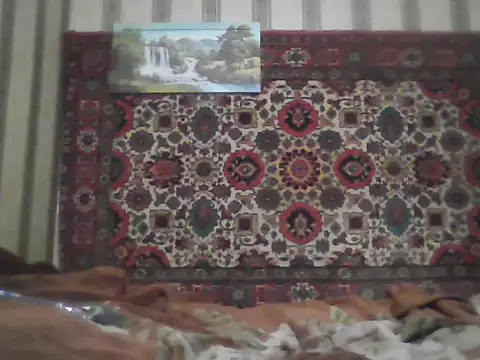 AlferezzSolvajo online show from 09/13/25, 07:03