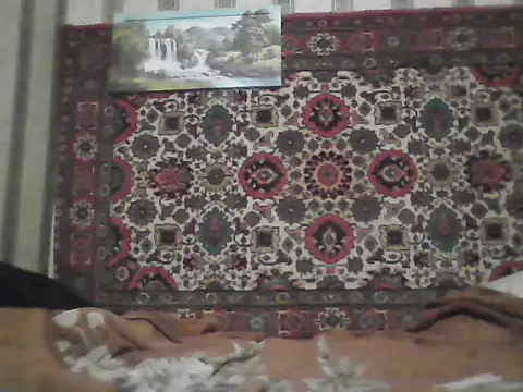 AlferezzSolvajo online show from 11/20/25, 08:31