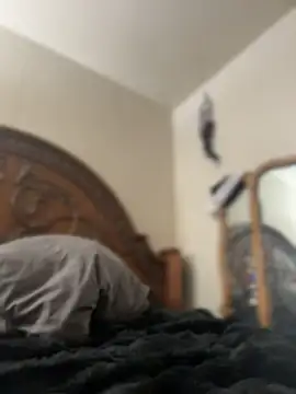 Kitty DaCocks online show from 04/07/26, 10:44