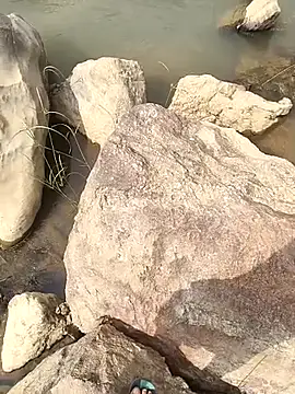 aryan 8051 online show from 10/28/25, 07:18