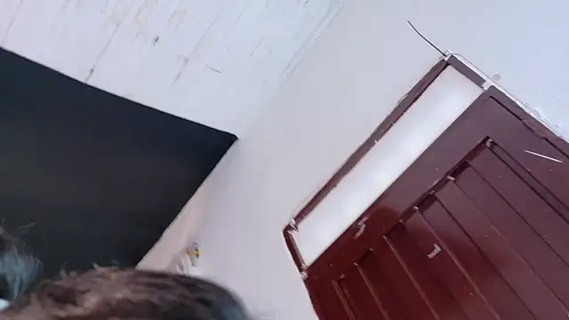 Snapshot of amabel_zambrano chatting on 11/05/25, 01:47 amabel zambrano online show from 11/05/25, 01:47