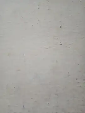 Pooja cut online show from 12/17/25, 02:27