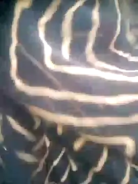 Amaya Bajwa online show from 10/29/25, 01:15