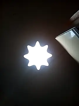 Lauren Amabel online show from 01/31/26, 07:12