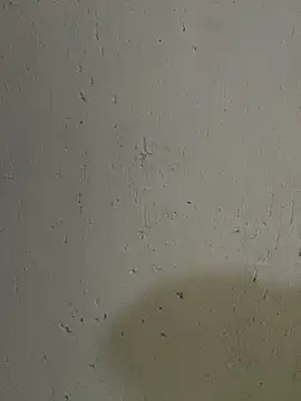 triplebeast online show from 10/17/25, 04:49