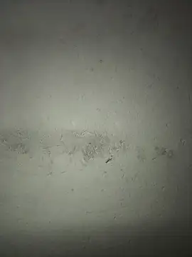 triplebeast online show from 12/18/25, 05:17