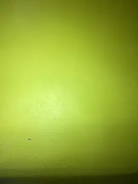 triplebeast online show from 01/23/25, 10:54