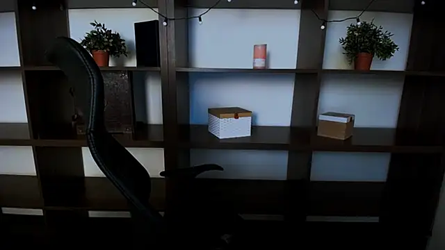 Snapshot of Lexi_Jous chatting on 02/27/25, 01:07 Lexi Jous online show from 02/27/25, 01:07