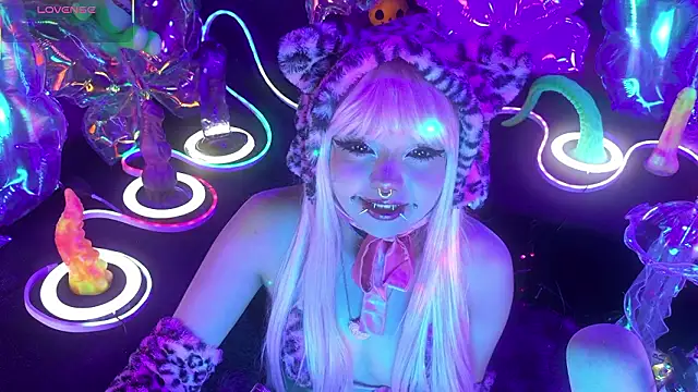 LaytonBox online show from 03/24/26, 02:17