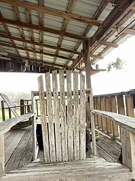 32XRedBeard online show from 03/03/26, 10:17