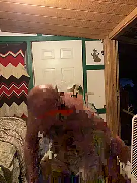32XRedBeard online show from 04/19/26, 10:38