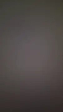 nonalona199999 online show from 11/28/25, 03:45