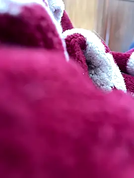 BCFZD online show from 11/25/25, 01:22