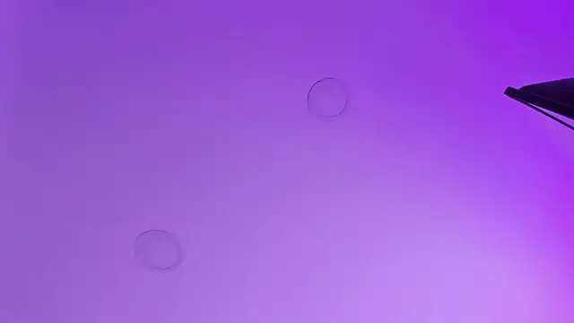 kathy bakerr online show from 03/18/26, 01:24