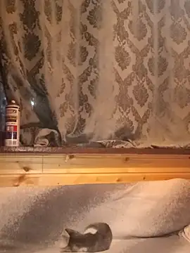 rosse26830 online show from 09/28/25, 04:25