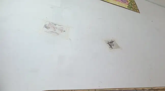 boysLittle online show from 02/14/25, 10:04