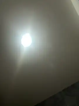 Az 89-23 online show from 04/14/26, 06:40