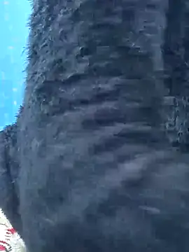 Snehalive online show from 11/26/25, 05:07