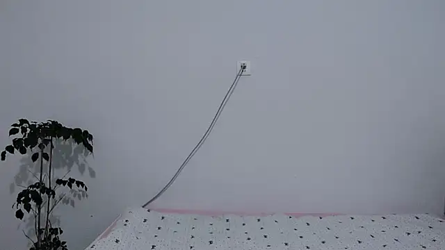                     88 online show from 02/03/26, 09:53