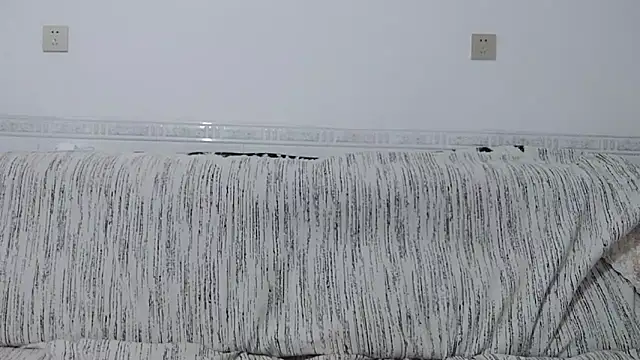                     88 online show from 12/01/25, 04:52