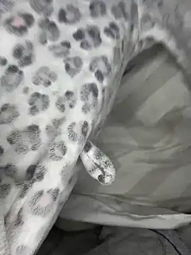 VioletxBlue online show from 03/28/26, 11:33