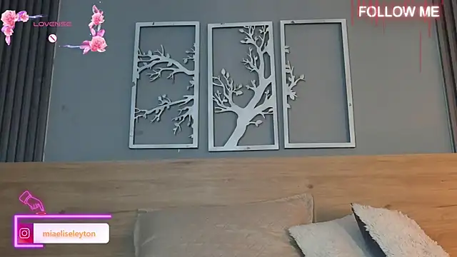Elise-Leyton online show from 04/30/26, 08:57