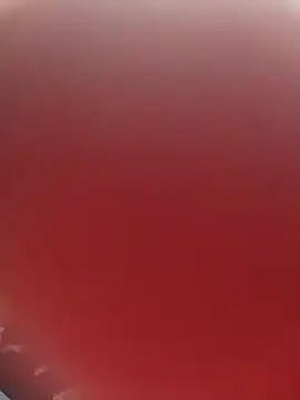 blondaf online show from 11/25/25, 05:30