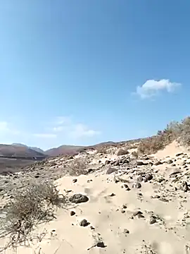 Snapshot of MountJohnXL chatting on 03/17/25, 04:22 MountJohnXL online show from 03/17/25, 04:22