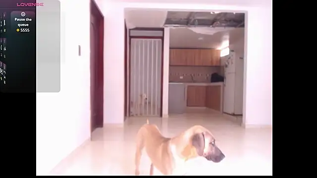 leslycarsson online show from 10/07/25, 07:15