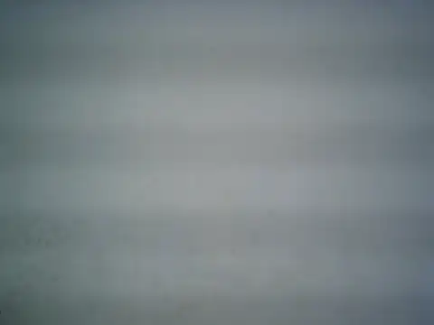 Snapshot of michel1520 chatting on 06/14/26, 06:53 michel1520 online show from 06/14/26, 06:53