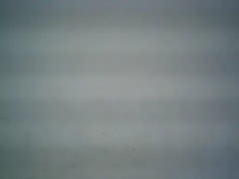 michel1520 online show from 05/26/26, 04:32